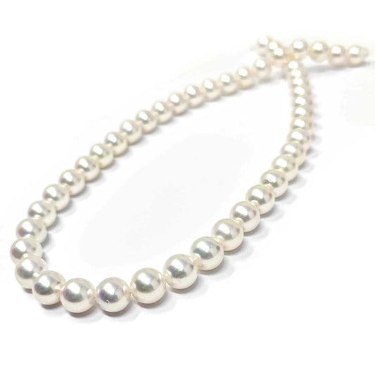 Filo di  Perla AKOYA 8.5/9 mm