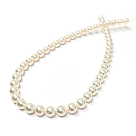 Filo di Perla AKOYA 8/8.5 mm