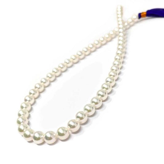 Filo di Perle Akoya 7,5/8 AAA