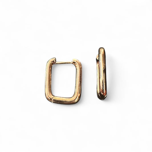 Orecchini Rettangolari in Argento Rosati cm 1.4