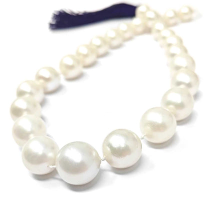 Filo di Perle Australiane a decrescere da 13 a 17 mm