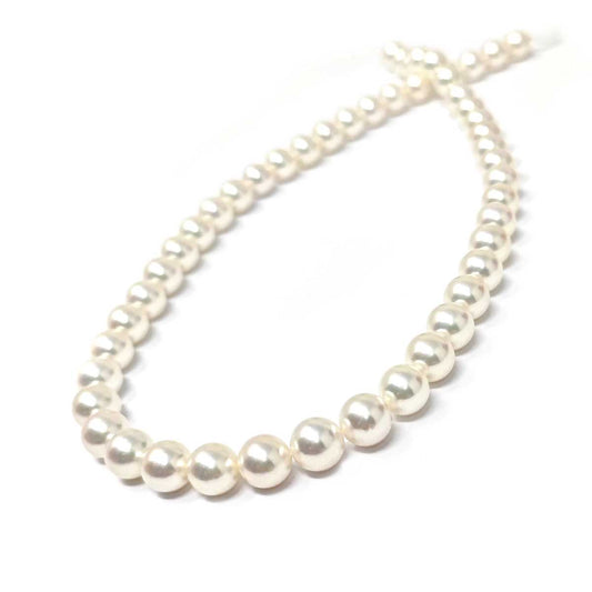 Filo di  Perla AKOYA 8/8.5 mm