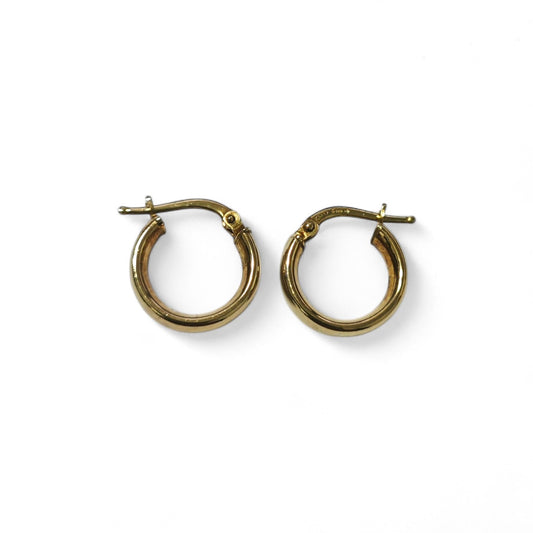 Orecchini Cerchio in Argento Dorati CM 1