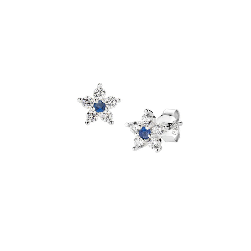 Orecchini Fiore Blu e Bianco