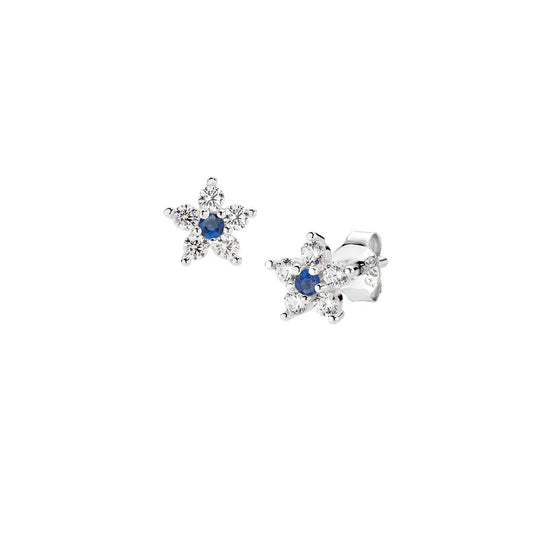 Orecchini Fiore Blu e Bianco